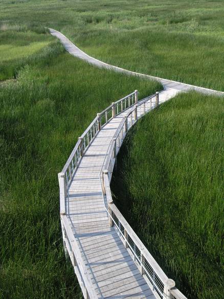 Bird Refuge - TWII Walkway